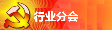 专业委员会