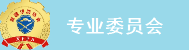 专业委员会