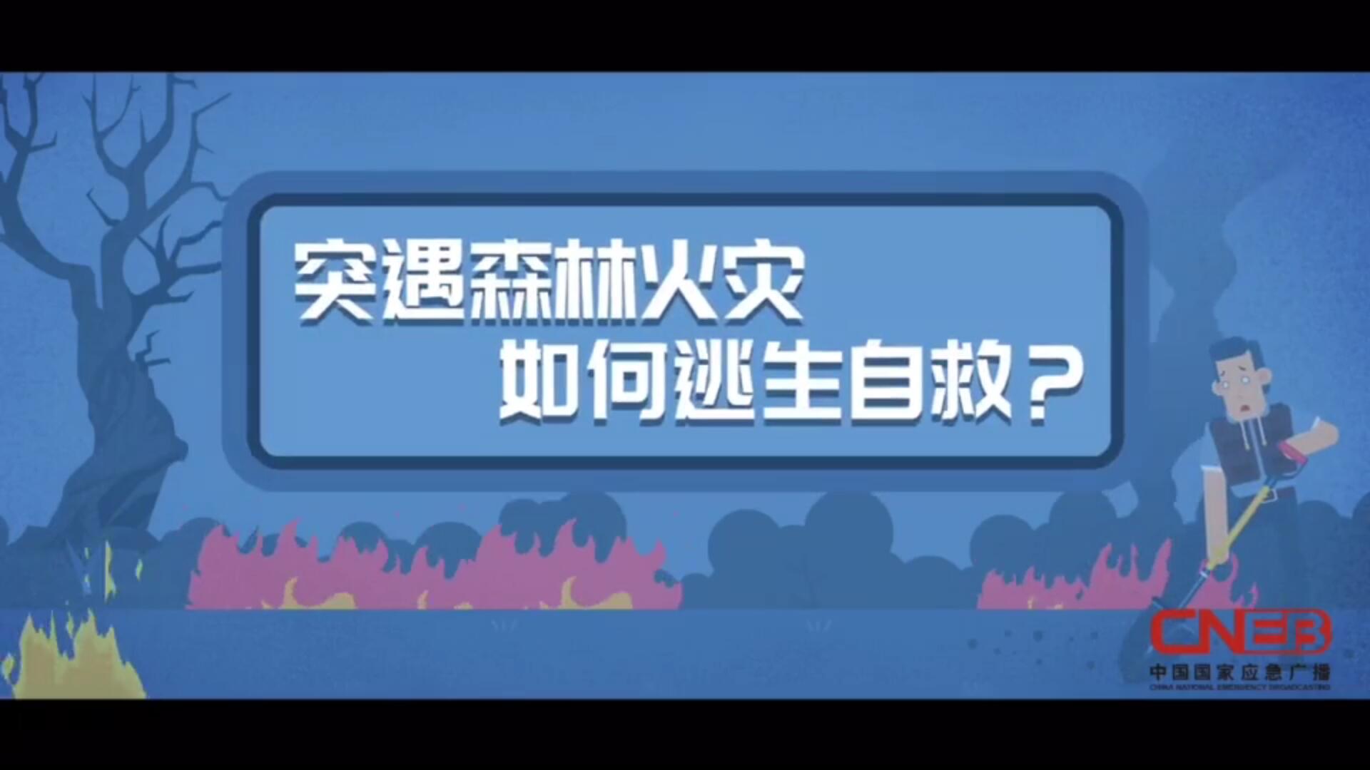 突遇森林火灾，如何逃生自救？