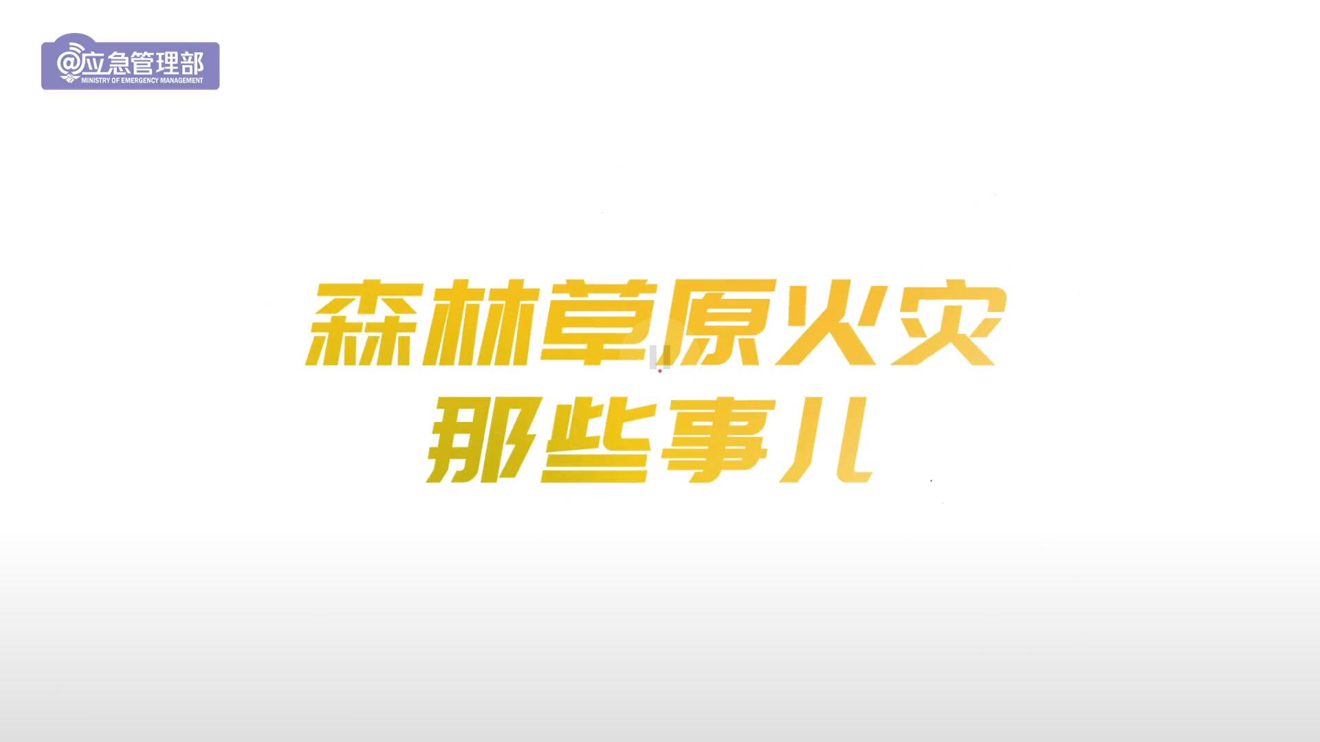 动画：遭遇森林草原火灾怎么办？